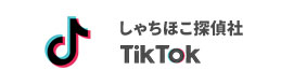 しゃちほこ探偵社Tiktok